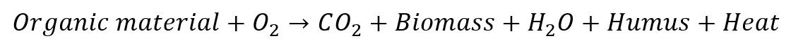 Equation for aerobic digestion