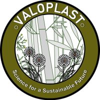 VALOPLASTIC Round Logo